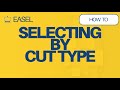 How to Select by Cut Type in Easel Software