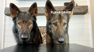 German Shepherds Review Green Foods