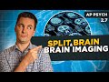 Understanding Brain Structures and Functions