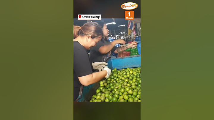 วิกฤตมะนาวล้นตลาดราคาดิ่ง เกษตรกรต้องปล่อยทิ้ง