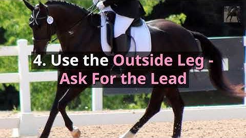 7 Essential Aids For An Epic Canter Transition