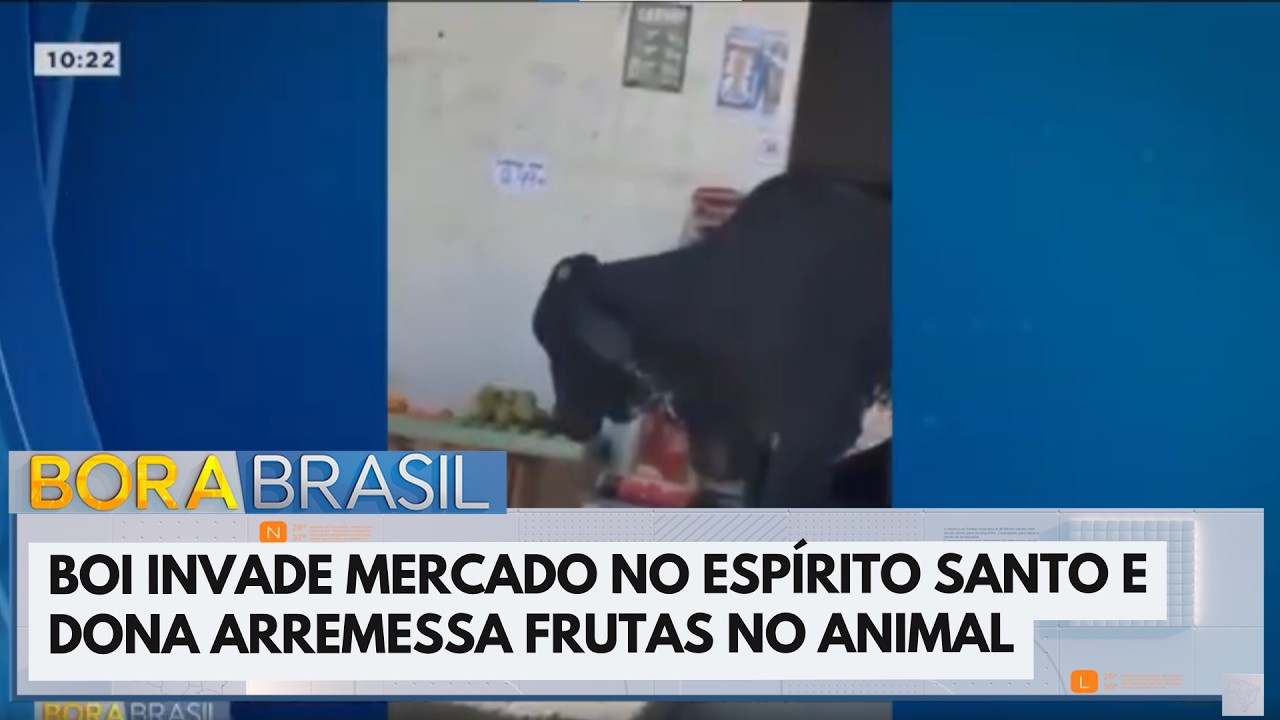 Boi invade mercado no Espírito Santo e dona arremessa frutas para assustá-lo | Bora Brasil