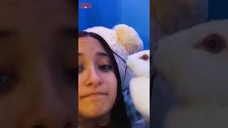 Funny fails And memes Compilation cant stop laugh