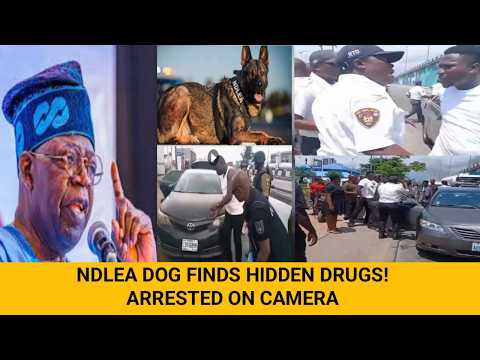 NDLEA K9 Dog SNIFFS Out Hidden Drugs in Lagos – Epic Arrest Caught on Camera