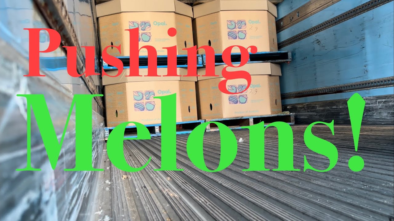 Melons in Queensland