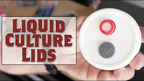 Mushroom Lid Jars with Self-Healing Injection Port for Liquid Culture Growth