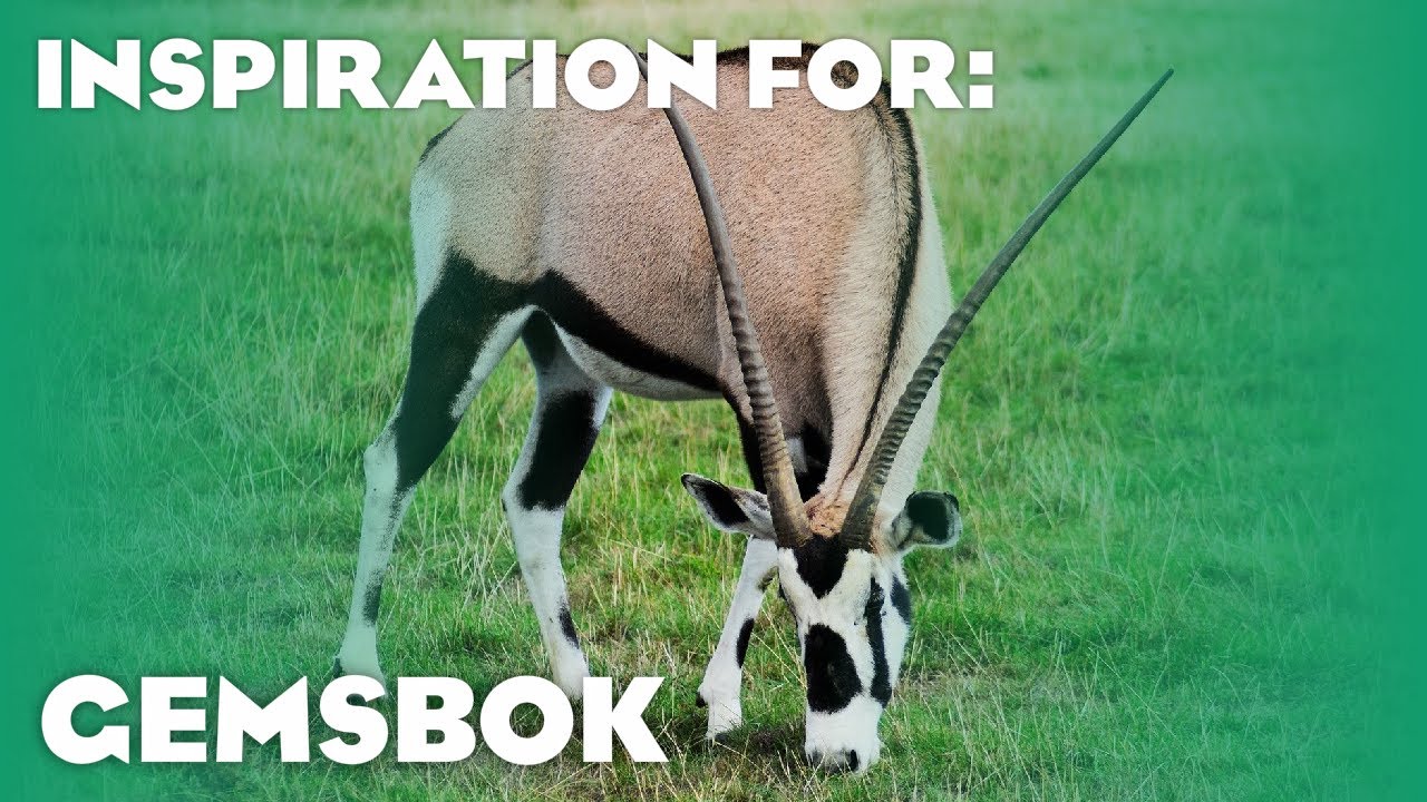 9 Real Gemsbok Habitats! (Planet Zoo Inspiration)