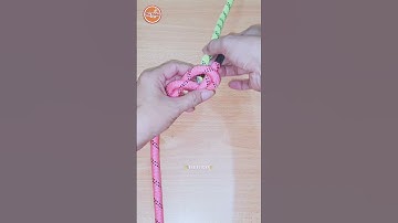 How to tie Knots Rope, DIY Knot Tutorial #diy #viral #shorts ep2807