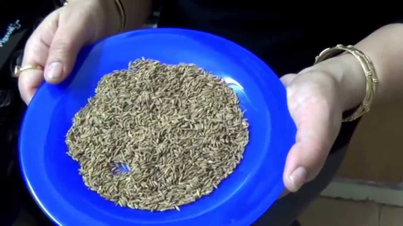How to roast Zeera or Cumin seeds by HoneyKitchen