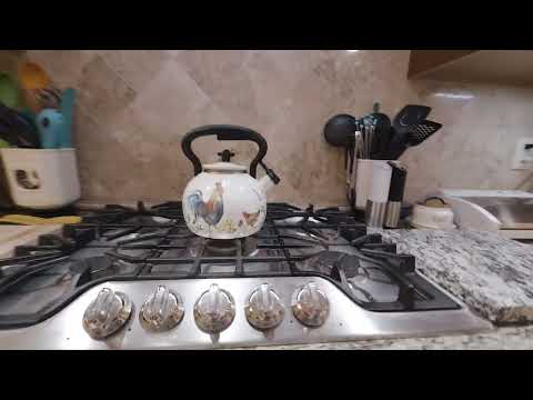 11310 Sonja Dr, Farragut, TN home video tour
