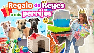 🐶🎁 MIS BEBÉS ABREN SUS REGALOS DE REYES👑¡COMPRAS A MIS PERRIJOS!💕Los Más Consentidos| CONNY MERLIN