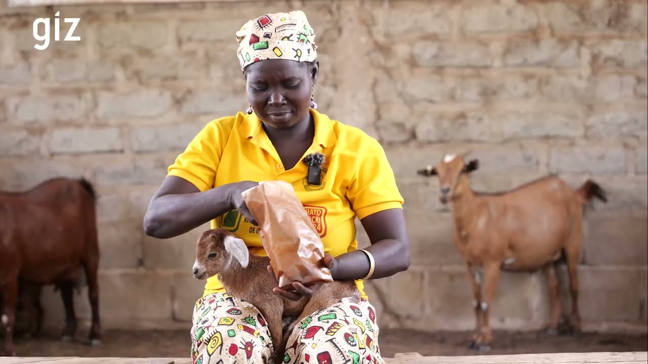 Le Kilishi, moteur du changement pour les éleveurs camerounais !