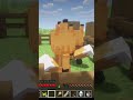 Best choice for Survival  #minecraft #funny #minecraftsurvival