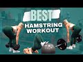 THE BEST HAMSTRING WORKOUT! | Hamstrings & Glutes Leg Day