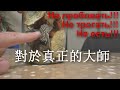 37-я ступень Шаолиня - ПАНТЕРНЫЙ мухомор. НЕ ПОВТОРЯТЬ!!! Только для мастеров.