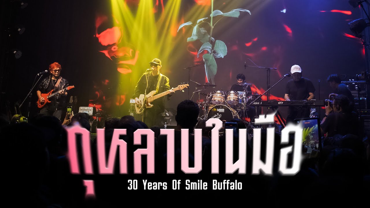 กุหลาบในมือ | 30 Years of Smile Buffalo