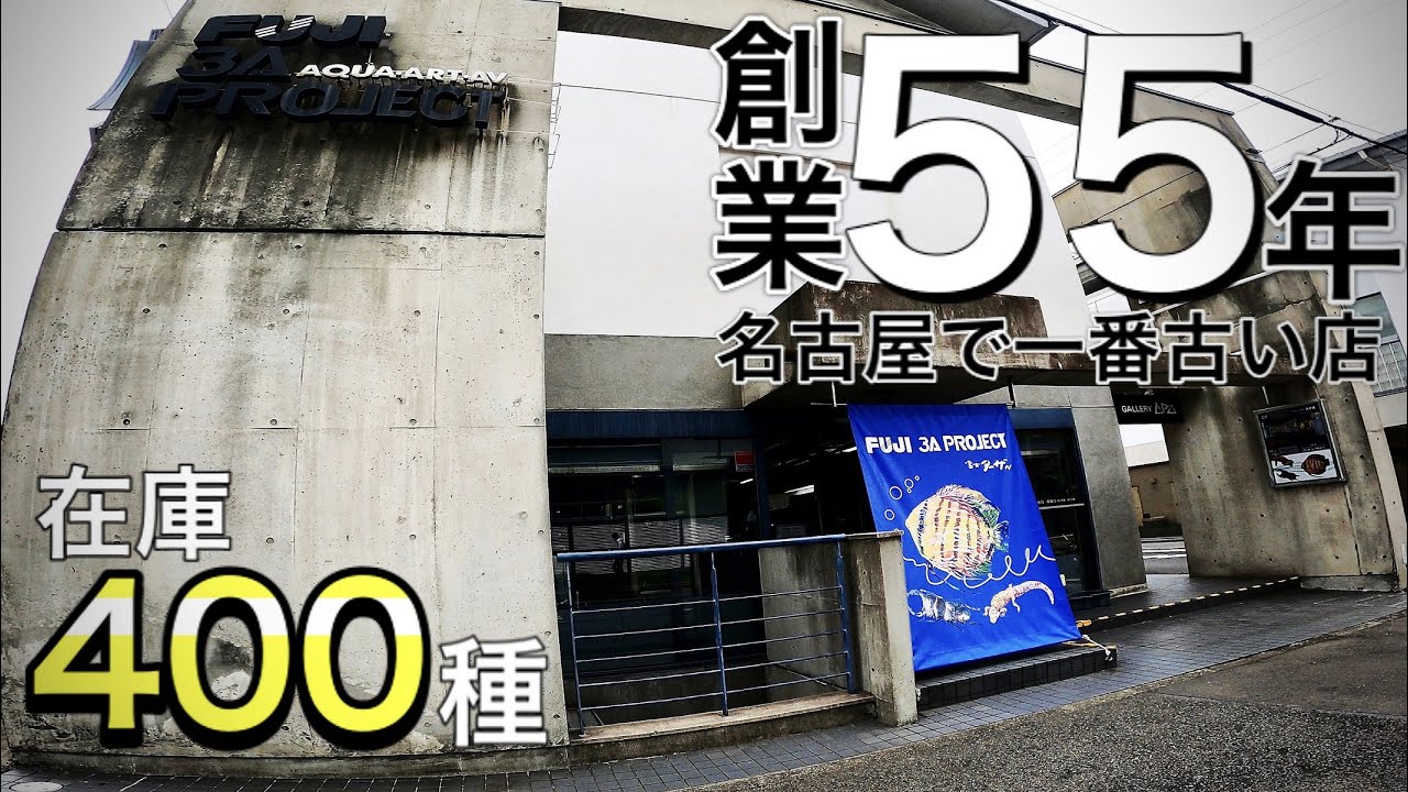 ショップ訪問 名古屋が誇る老舗アクアショップ Fuji 3a Project 57 Youtube