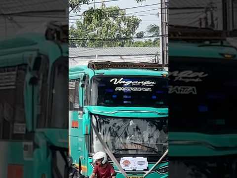 KLAKSON TELOLET BASURI VIRAL  2023 ll #video #teloletbus #basuri #viral