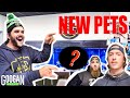 We Bought NEW GOOGAN HQ Pets! ( What are they??)