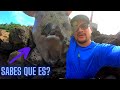 Pesca de ORILLA en el ((CAUSEWAY DE AMADOR)) | ▶La CLAVE es la MAREA