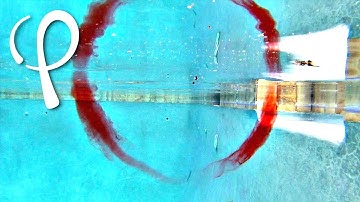Fun with Vortex Rings in the Pool