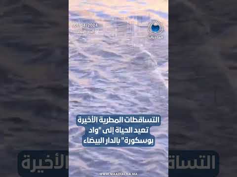 التساقطات المطرية الأخيرة تعيد الحياة إلى واد بوسكورة ب الدار البيضاء