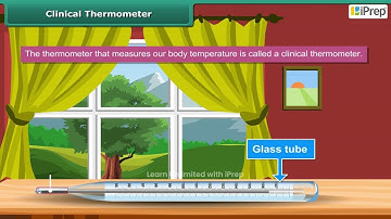 Measuring Temperature - Clinical Thermometer | Temperature and its Measurement | Science | Class 6