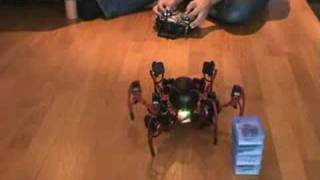 Balancing Phoenix hexapod