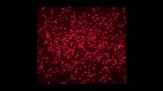 KING CURTIS (1962) Country Soul | Funk / Soul | Rhythm & Blues | Full Album