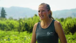 Okgo Agriculture Paynters Fruit Market