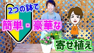 【初心者】大小の同じ鉢を利用して、簡単・豪華な寄せ植え作品　宇陀ガーデン