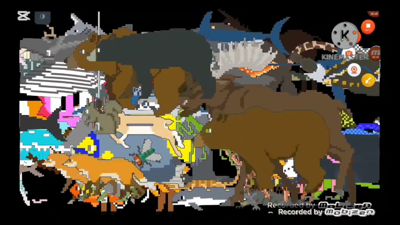 Animals Book Version Collection Stampede - @TheKidsPictureShow