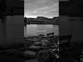 AviciiВ The Night рџ ‍в пёЏ Lyrics Edit Shorts Lyricsedit Lyrics Music Lyricseditthenight AviciiВ The Night рџ ‍в пёЏ Lyrics Edit Shorts Lyricsedit Lyrics Music Lyricseditthenight