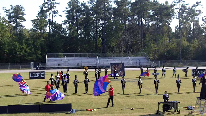 Phoenix Rising 2014