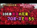 【プロポーズ】108本のバラの花束！一生に一度！#120