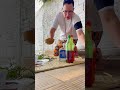 Ifa conhece seu destino, todos seus problemas tem solução com ifá  #ifa  #caminhosabertos
