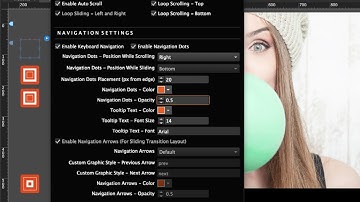 Presentation Panels Widget | Tutorial by MuseThemes.com