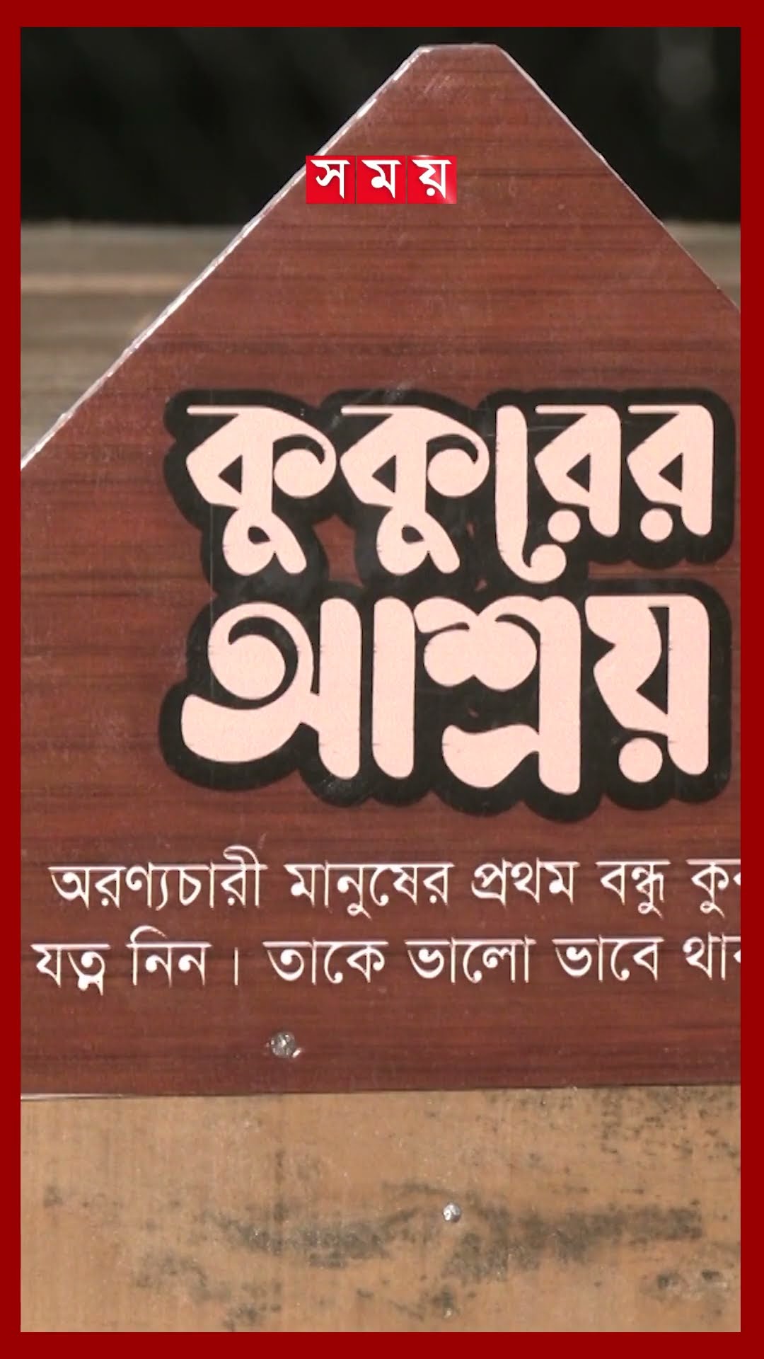 ঠান্ডায় জবুথবু অসহায় কুকুরদের জন্য আশ্রয় #streetdog #shelter #mymensingh #somoytv #shorts #reels