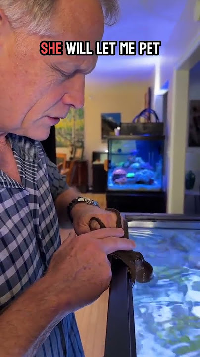 Getting squirted on by my octopus is part of the friend making process