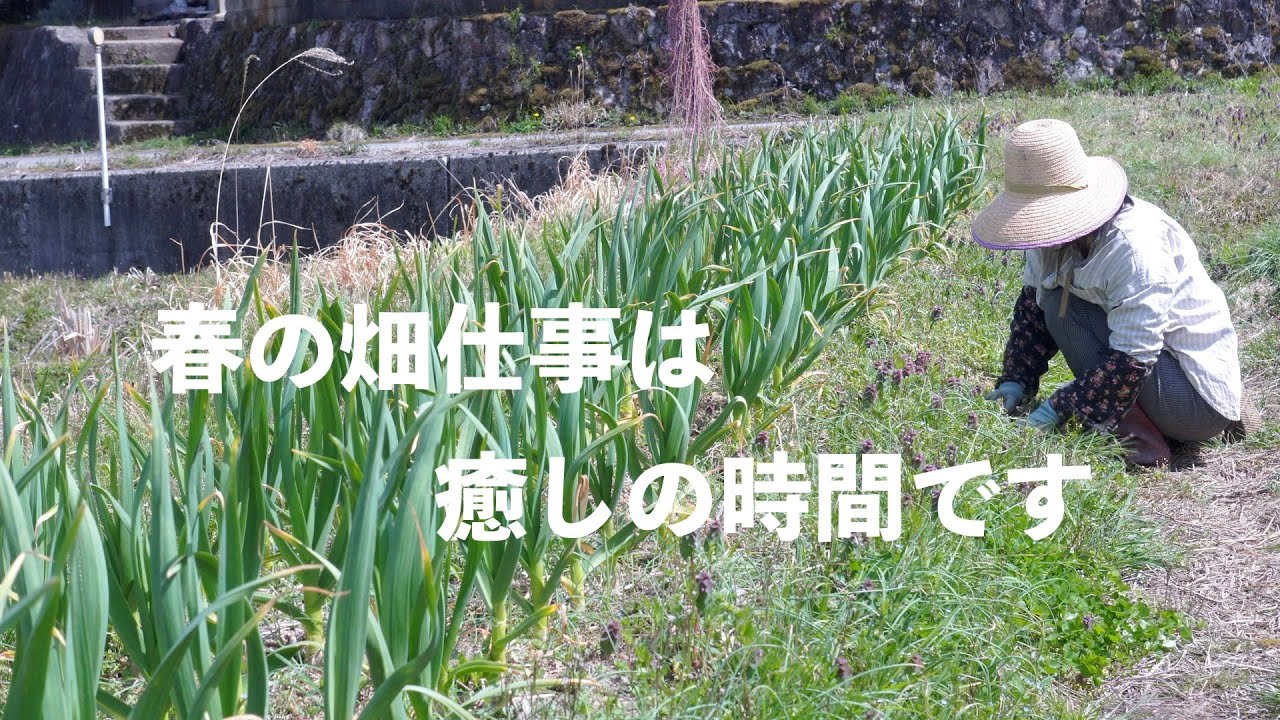 自給暮らしvlog｜冬の名残りと春の食材でおうちごはん｜春の農作業は何をしていても楽しいものです｜#63