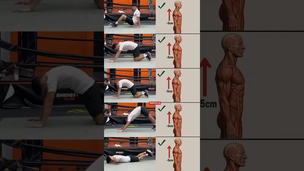 Best Full body Strong Exercises at Top height 💯 