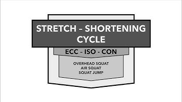 Stretch Shortening Cycle - Squat