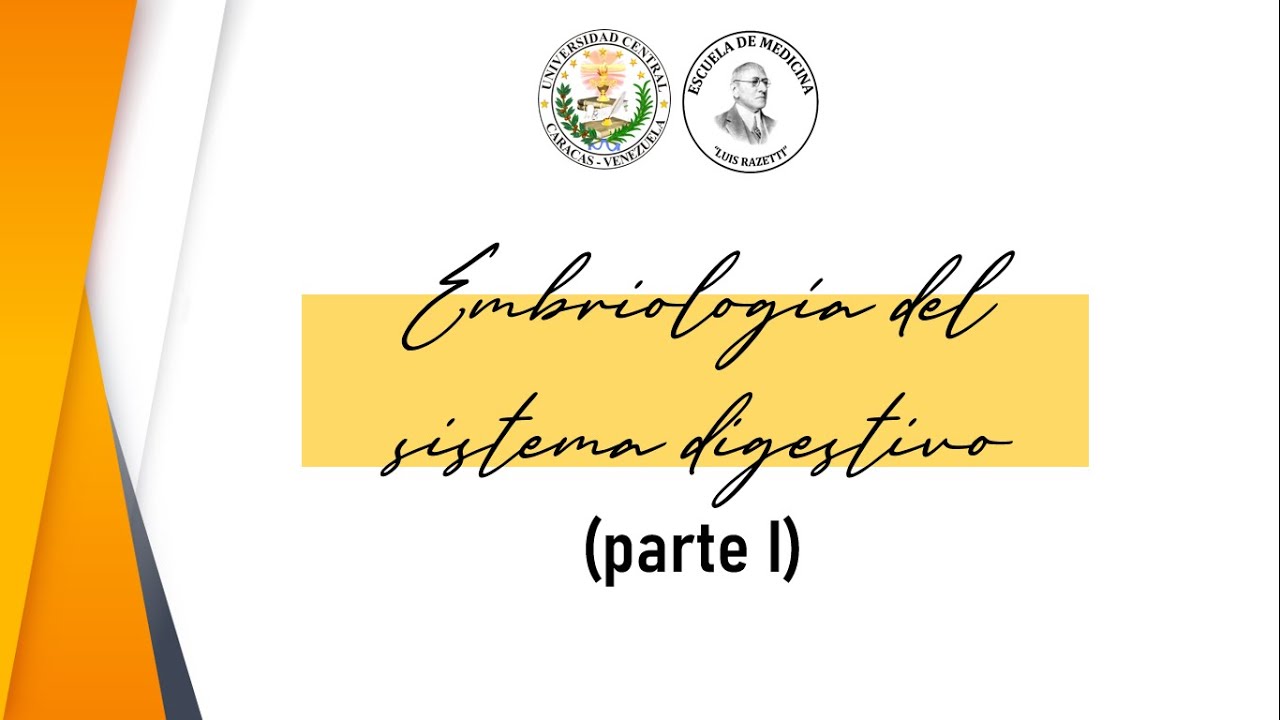 Embriología del sistema digestivo: intestino anterior (parte I) Dr. Brandon Diaz