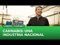 Gabriel Giménez: "Cuanto más grises, menos posibilidad de desarrollo"
