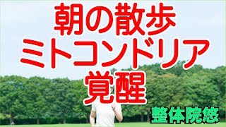 【朝活　散歩】朝の散歩で元気100倍！