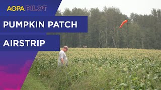 Flying into a pumpkin patch - Chapman Farms, Washington