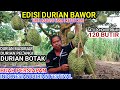 Bawor edition1 pohon berbuah 120 butir durian masmuar pelangi gundul