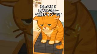 その顔、大丈夫？猫が痛みを隠す本当の理由！？ #猫のいる暮らし #保護猫 #病気の前兆