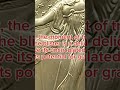 1993 Silver Eagle 1oz! 🇺🇸 Is it Rare? ¿Vale una fortuna? 💎 Watch now! #SilverEagle #Silver #Plata