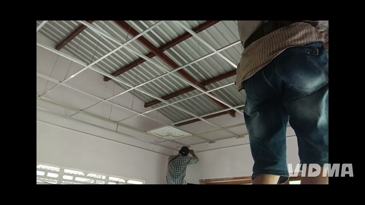 Giật cấp mẫu cánh doi  ảnh kìm 21